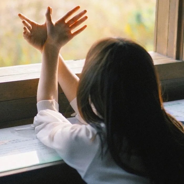 天堂岛之外第三季